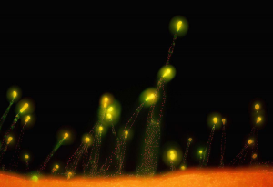 如何保持長期、持續、穩定的努力